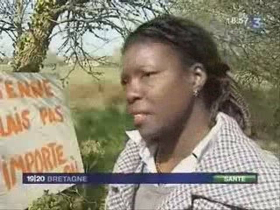 Antenne relais à Loctudy : JT de France 3 du 1er avril 2009