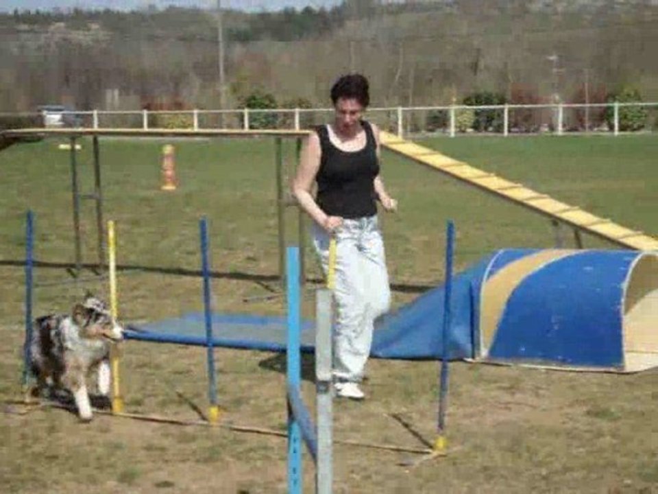 entrainement daika agility 06.04.09