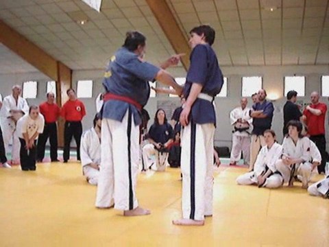 Bindel ennery 2009 points de pression 2