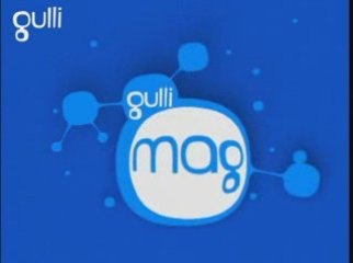 Gulli mag : reportage sur le spectacle d'Aladdin