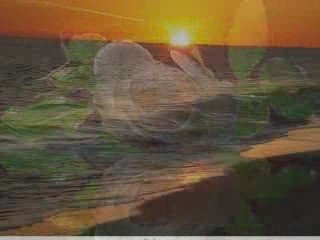 Together -Giovanni Marradi