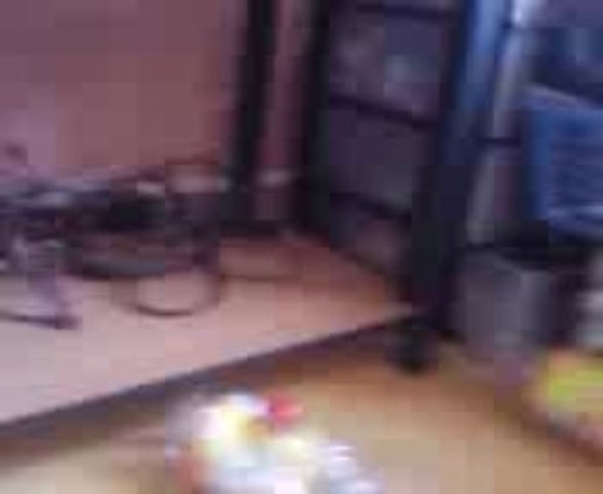 Vidéo0003