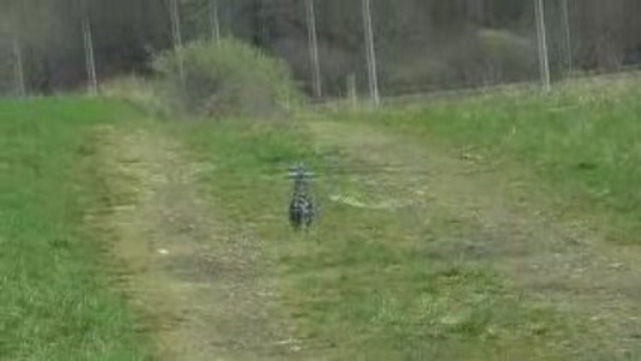 Le HDX 450 (clone du T-REX 450) en extérieur