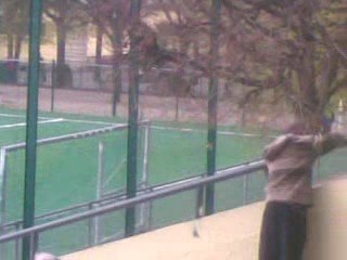 (SOP p2)  5-0 (Nogent Fc 2)