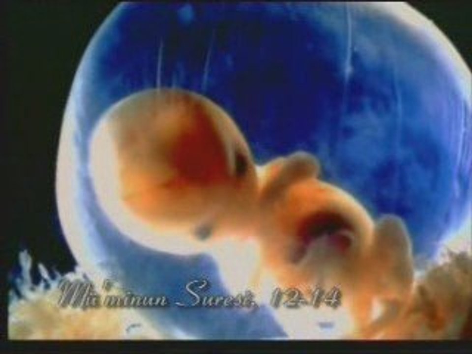 Kuran-ı Kerim Meali 2 8/15 www.kuranfihristi.net