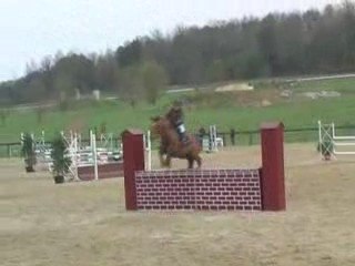 Cognac narcisse gp 110m 04.04.09 2eme place