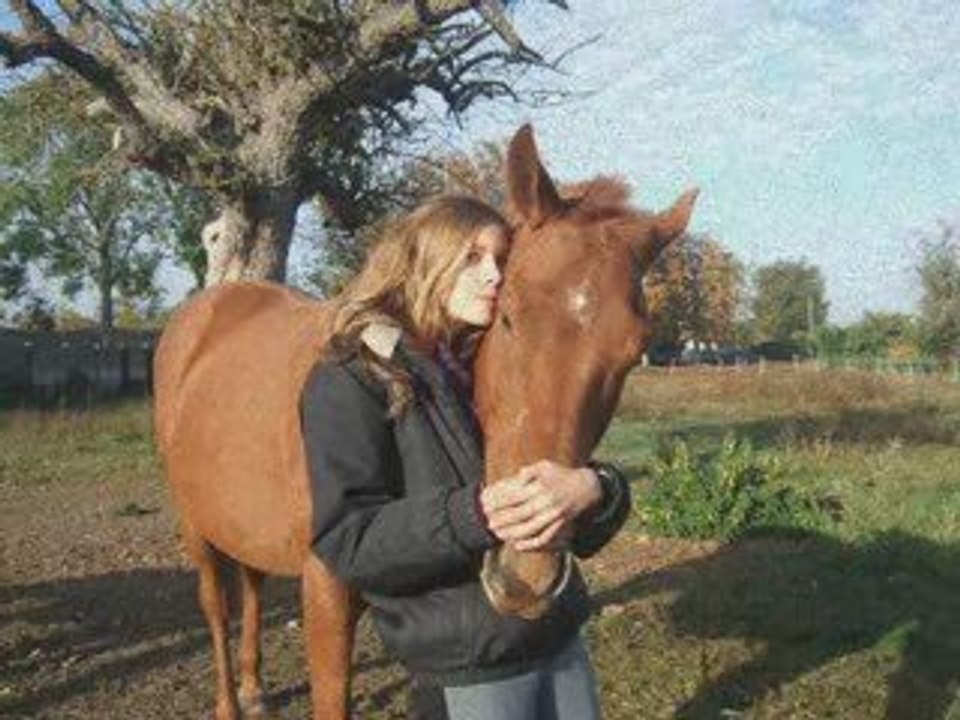 Video du cheval