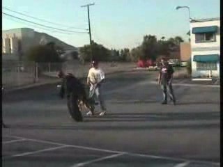 K9 Attack - Dog Attack