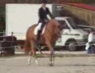 Sandie 5 avril 2009 PC Echenevex lower quality