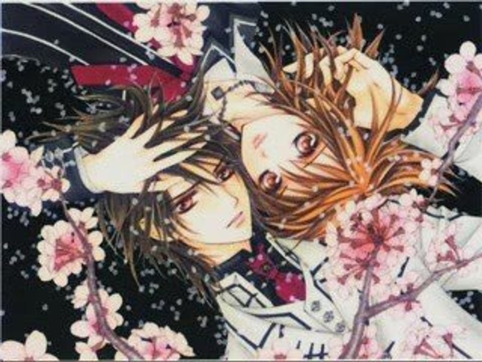 Pmv vampire knight 2