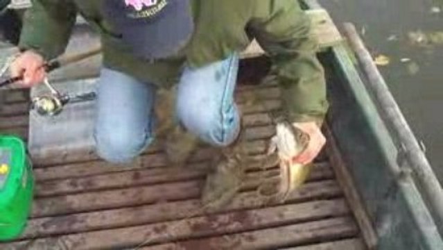 pêche du brochet en no kill