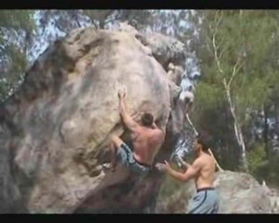 Tom retour aux sources