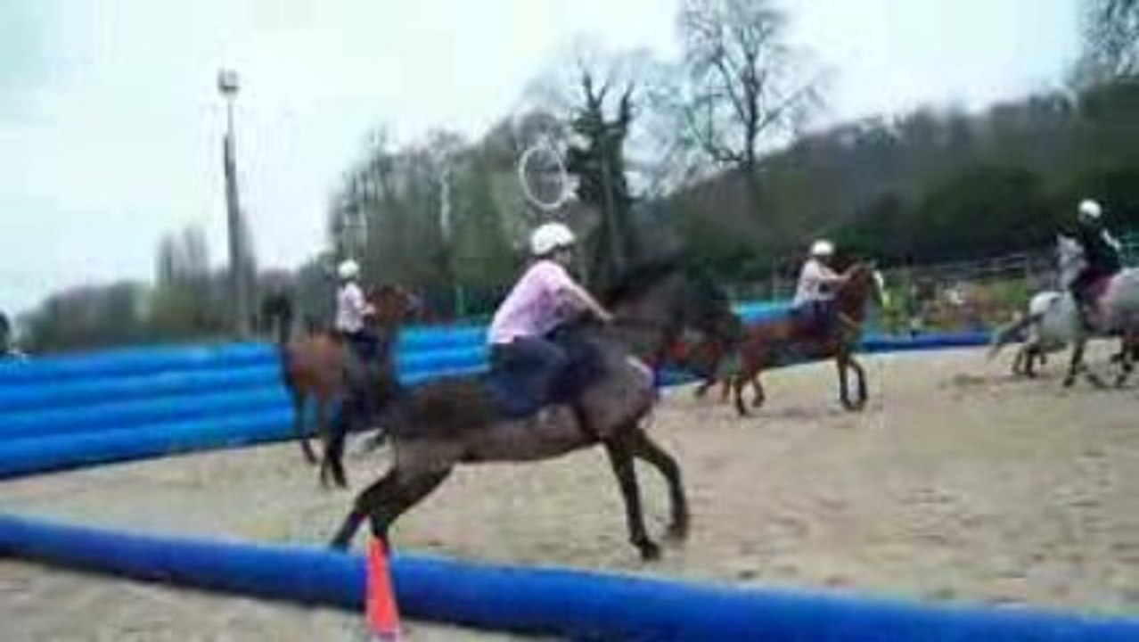 horse ball 1