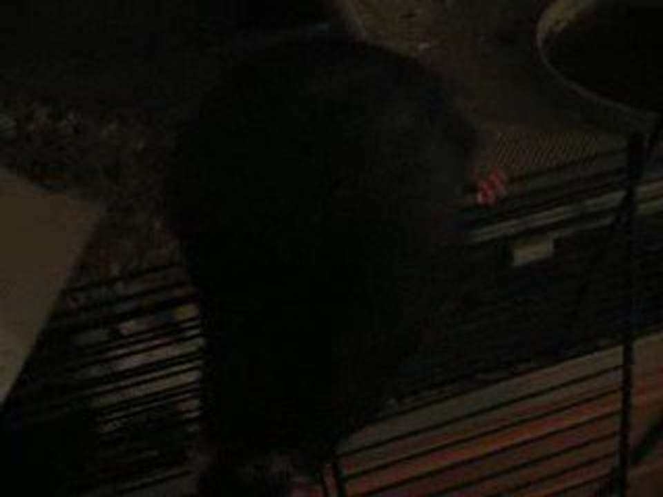Mes ratounes