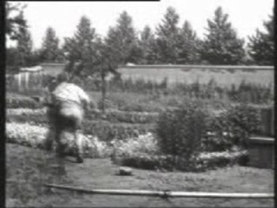 Le Jardinier (l'Arroseur arrosé)