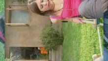 Amoor te amo
