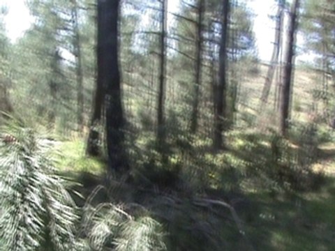 Airsoft Sniper - TM vsr-10 pro - headshot