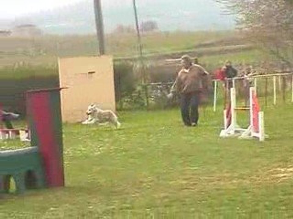 Salsa GPF Agility Villefranche 05/04/2009