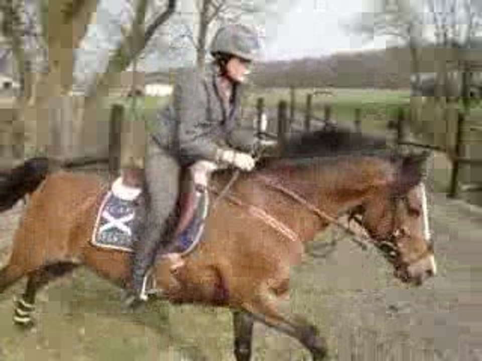 Cross avec kanjy