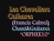 Les Chevaliers Cathares(Francis Cabrel ) par orphee10