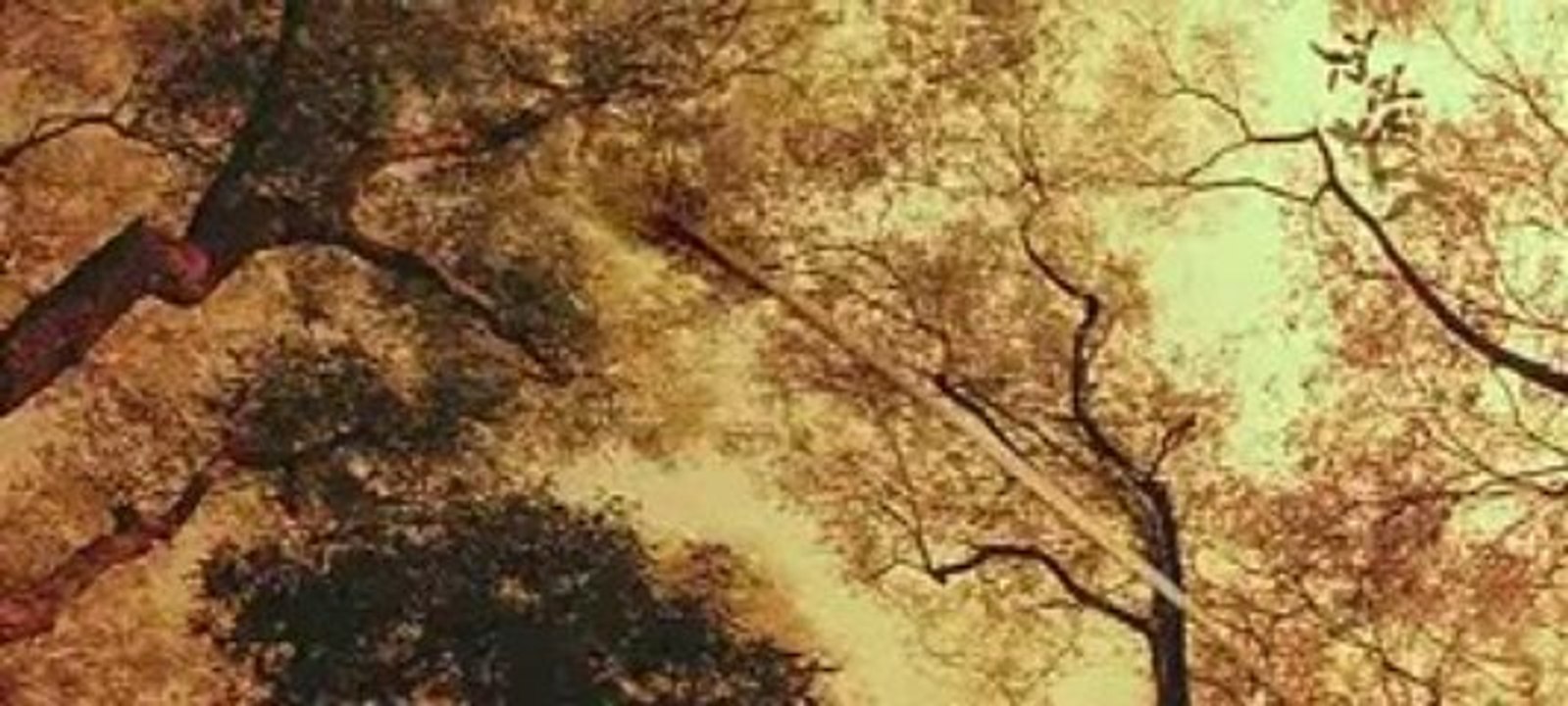 IMSAI KING 20THREE 006