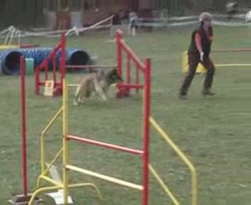 Jump vick