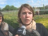 Concours complet d'équitation à Nîmes