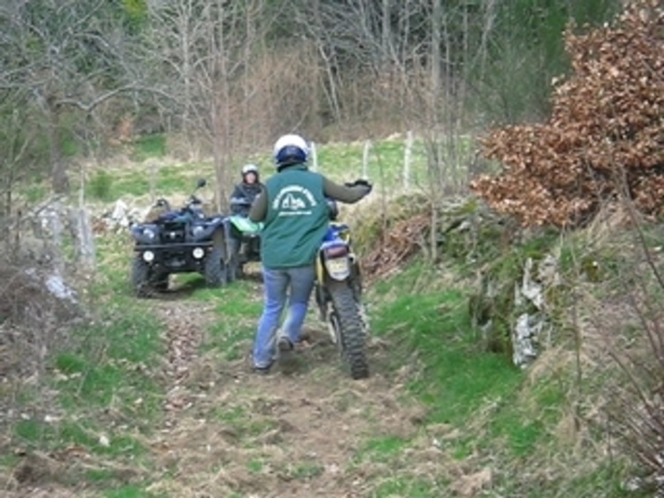 MVI_3455
