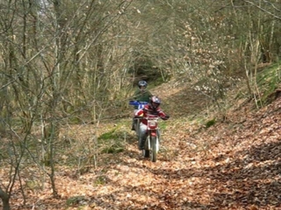 MVI_3462