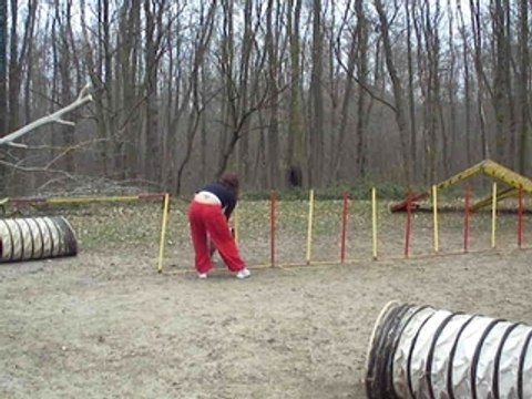 ACUSGF By Lee australien entrainement agility