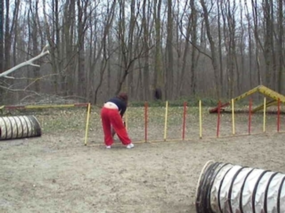 ACUSGF By Lee australien entrainement agility