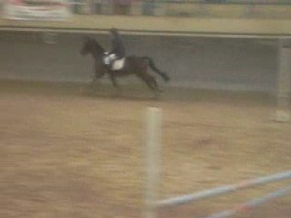 ETRIER D'OR  ( 05/04/2009 )