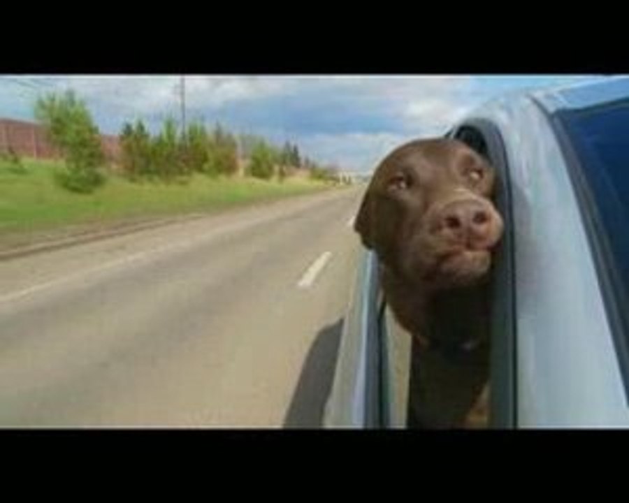 Passover Doggy Style