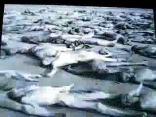 In Memory of the victims of the holocaust