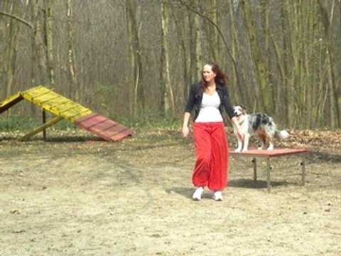 ACUSGF By Lee australien entrainement agility