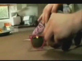 Kodbanks.tr.gg-bukalemun