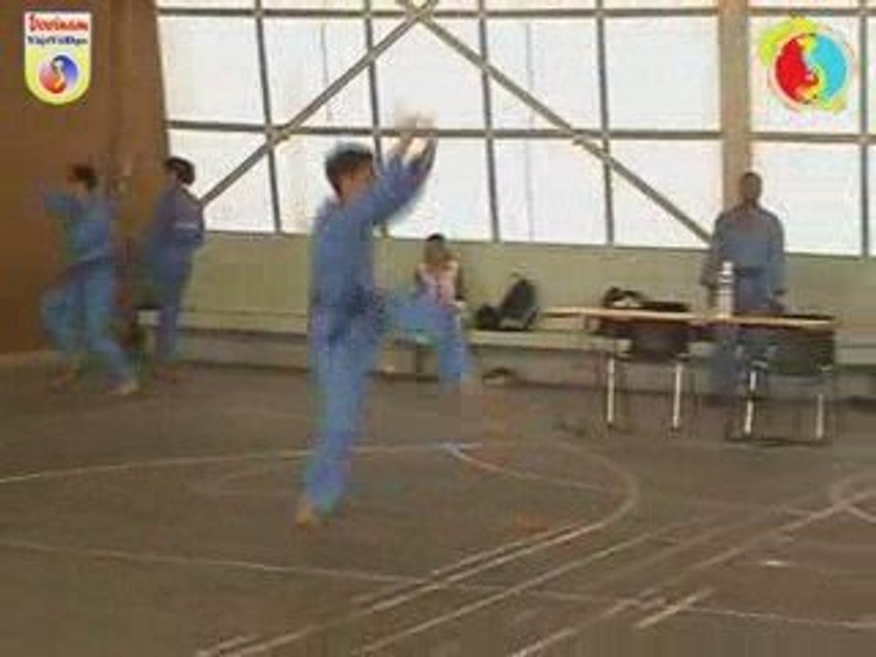 Coupe IDF Vovinam Long Ho Quyen par Son de Palaiseau