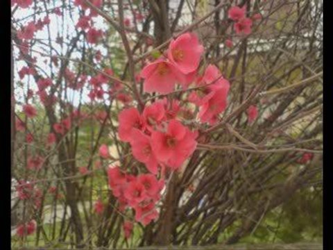 Yaşar Özel-Madem Ki Gidiyorsun