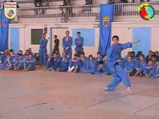 Coupe IDF Vovinam - Long Ho Quyen par Yassine de Fontenay