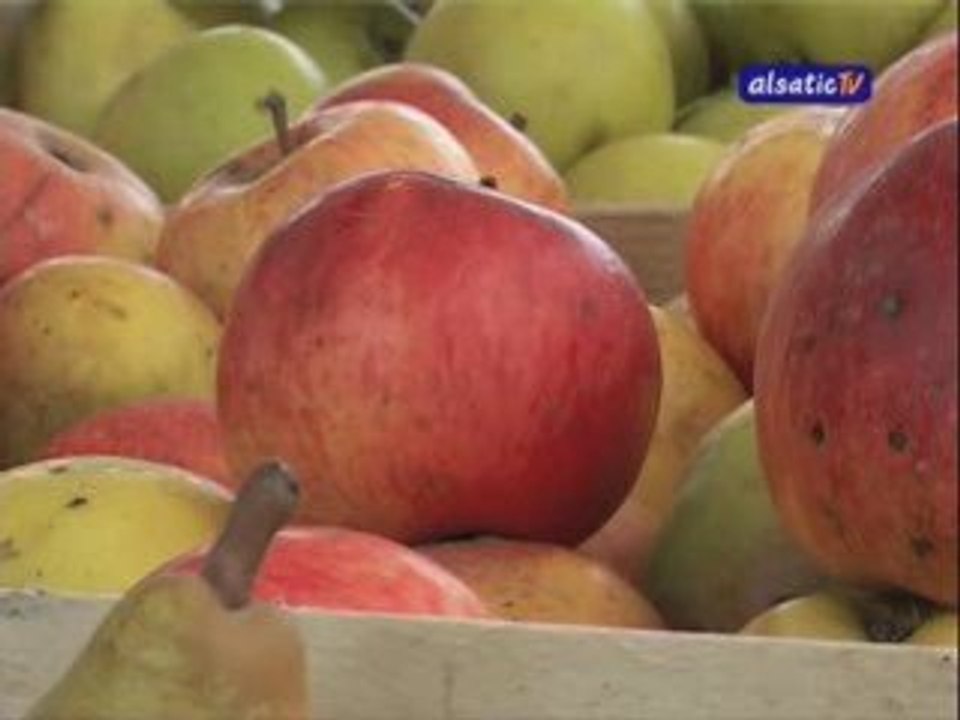 SlowFood / Schnaeckele - au marché de la Marne - Alsatic TV