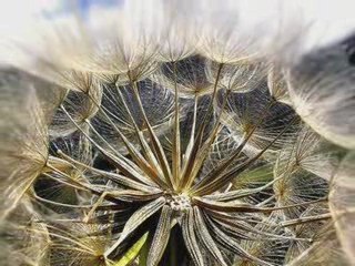 Keiko Matsui - Flight Of The Angels