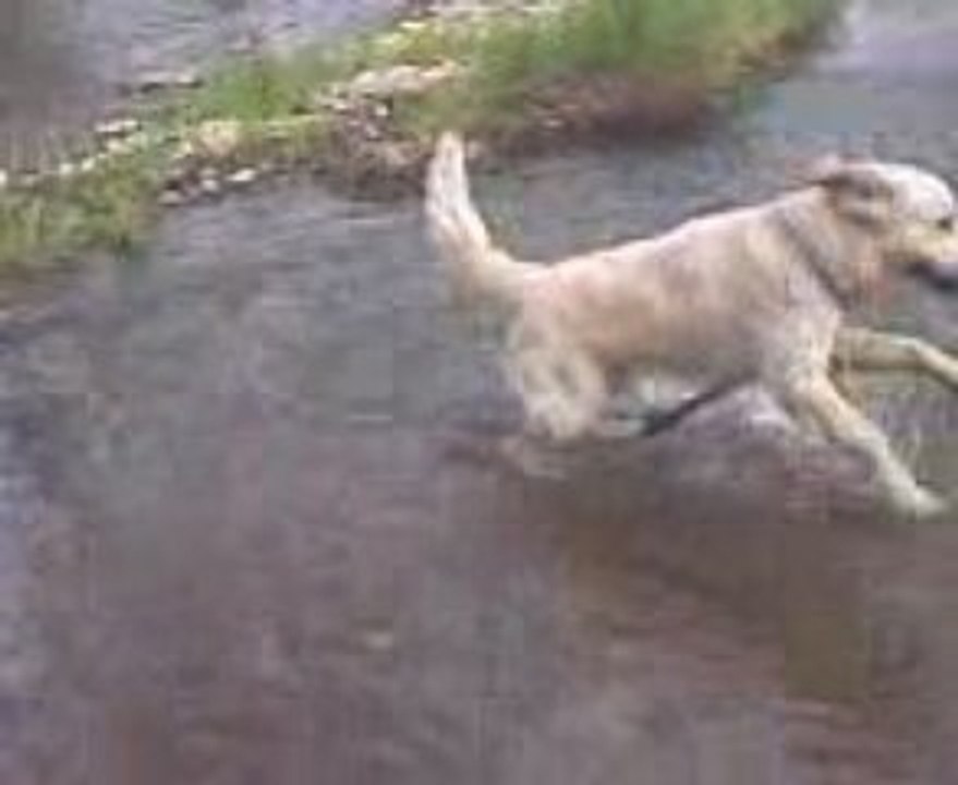 Cowboy les pieds dans l'eau