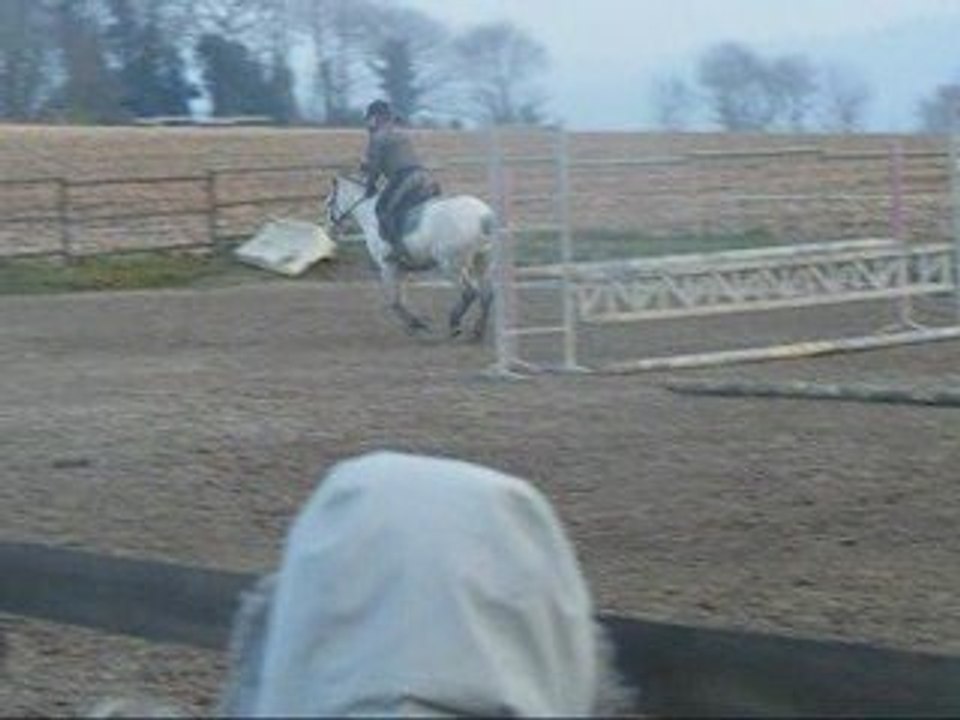 Séance obstacle Ecurie TEM