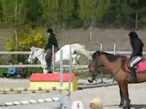 Galop 4 , Parcours Obstacle