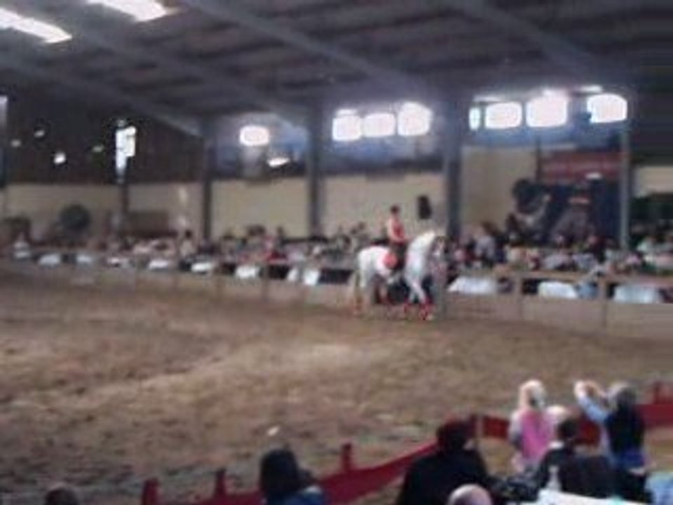 Numéros Cabaret (trophés spectacle equestre 2009)