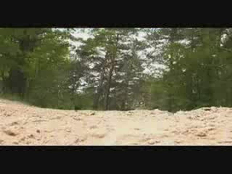 AMV Patria Rosomak  Wolverine