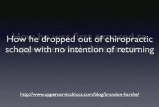 Upper Cervical Interviews: Brandon Harshe
