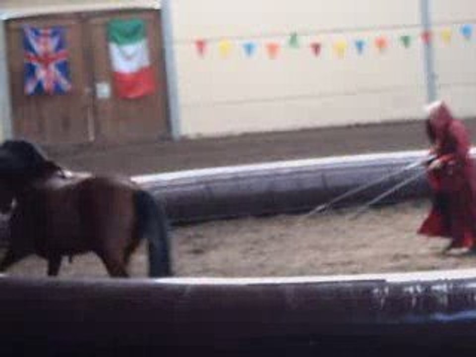 Numéro L'amour du dragon (Trophé spectacle equestre 2009)