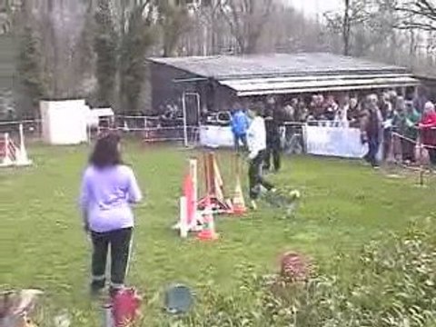 Boom Open Agility Villefranche 05/04/2009