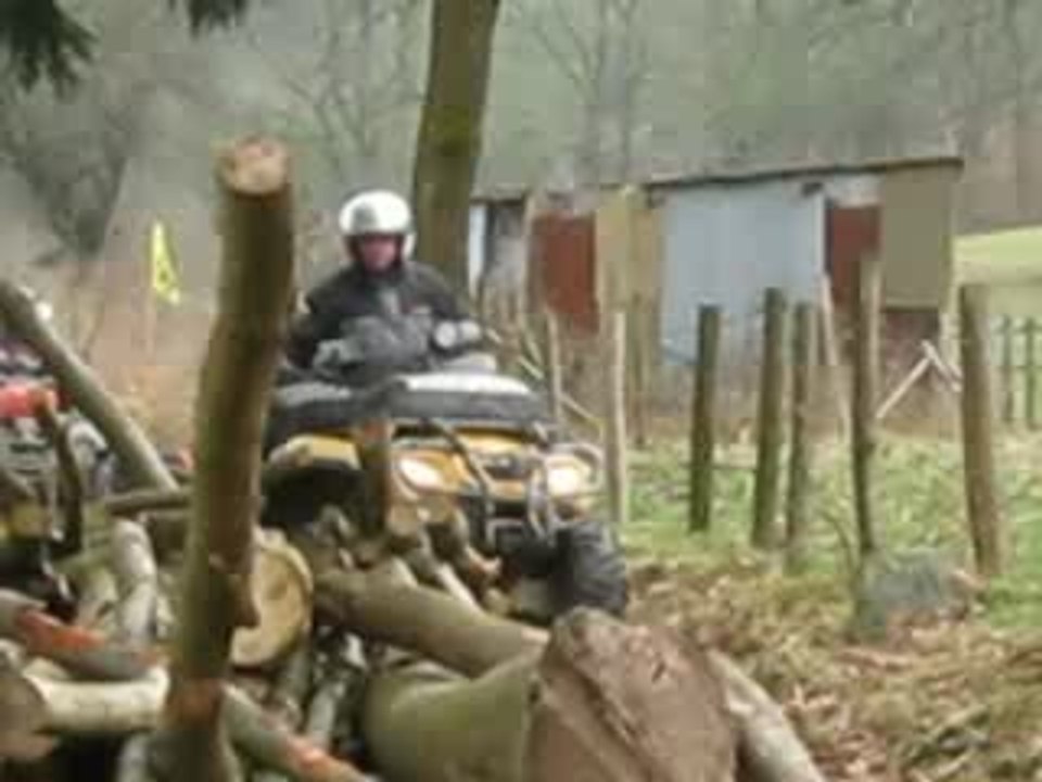 Le Nain au tas de bois